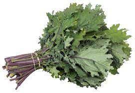 Kale ruso orgánico (atado)